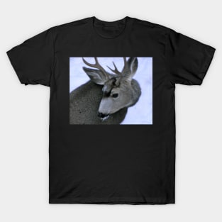 Oh Deer! T-Shirt